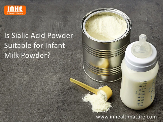 Is sialic Acid Powder Suitable for Infant Milk Powder