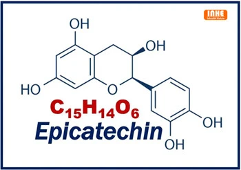 Dab tsi yog qhov cuam tshuam ntawm Epicatechin Extract rau Diabetics?