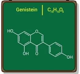 Genistein Powder cuam tshuam rau tib neeg lub siab li cas?