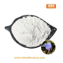 Puas yog Beta Ecdysterone Powder muaj txiaj ntsig zoo rau cov kab mob Degener...