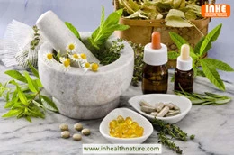 Yuav Ua Li Cas Tau Txais Gromwell Root Extract nrog Supercritical Fluid Extra...