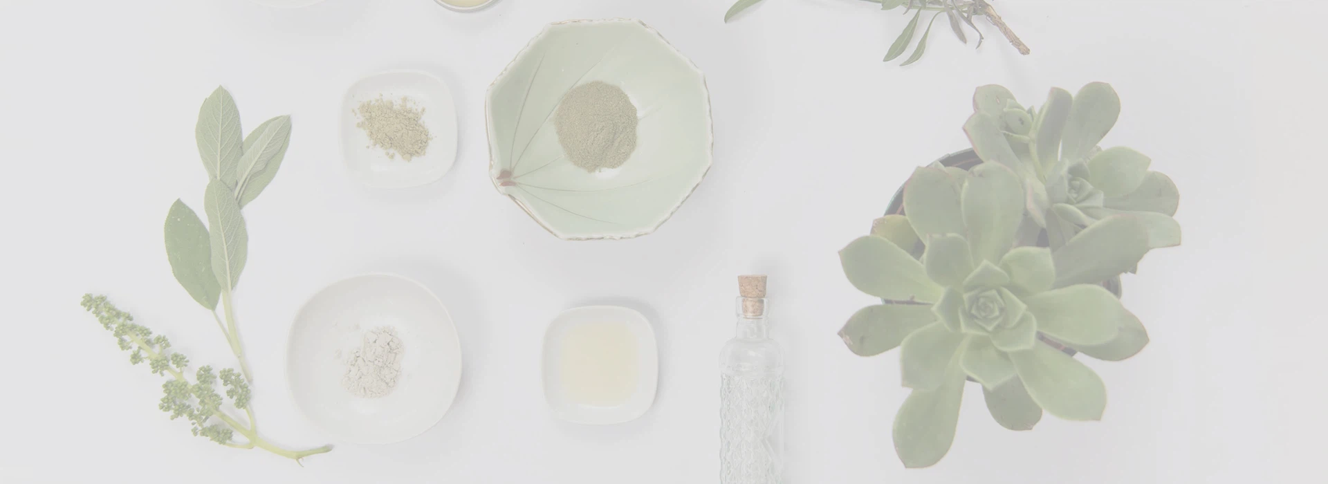 Shaanxi  Noj qab nyob zoo  Xwm  Kev lag luam  Co.,  Ltd