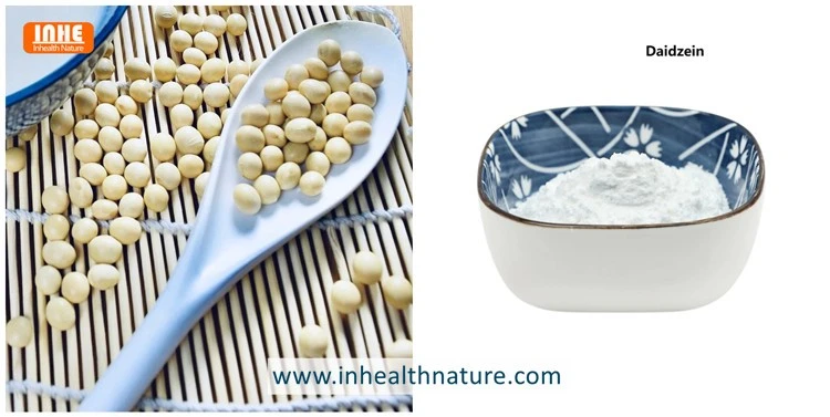 Soybean and Daidzein Powder