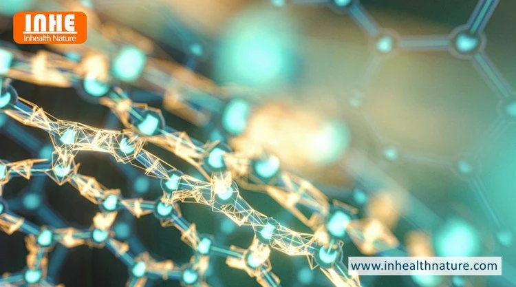 Is Nanosuspension Technology Suitable for Daidzein Powder