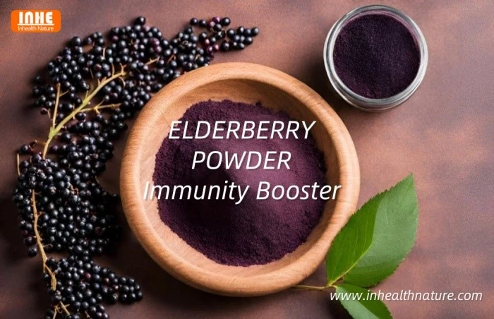 Mighty Health Benefits of Elderberry Extract Powder